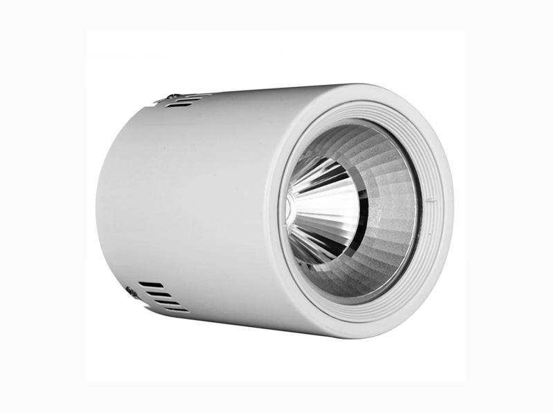 20W WHITE COLOR MOUNT DOWNLIGHT T15813-WHE