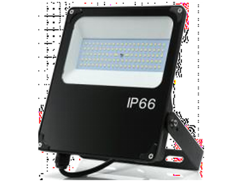 50W SAA IP66 RA LED Flood light